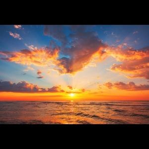 Meet your Posher, Addison